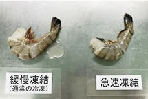 ブラックタイガー