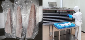 福岡中央市場株式会社 CP事業部